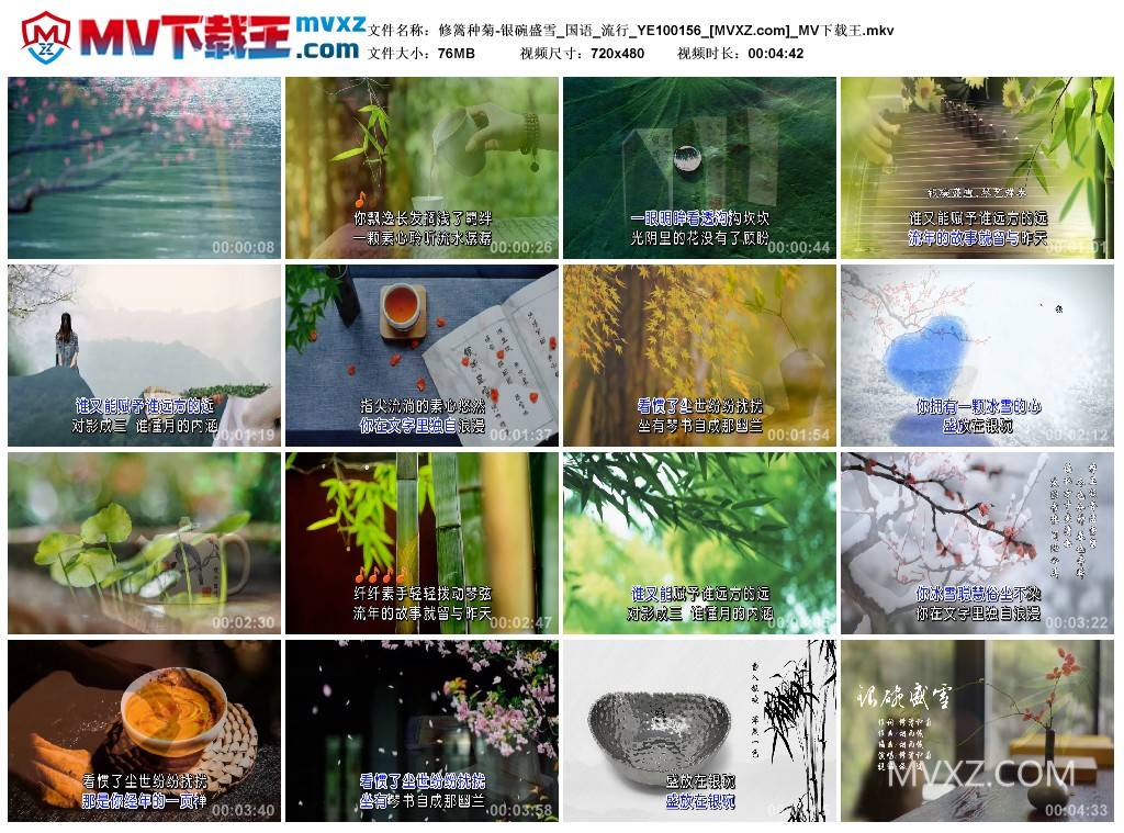 修篱种菊-银碗盛雪_国语_流行_YE100156